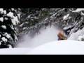 Seven Sunny Days- Eric Hjornleifson