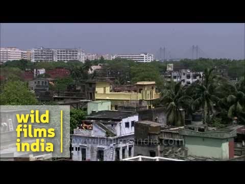 how to reach bhutan from kolkata by train