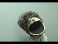 Ask Skippy #4 - JoshJay24824