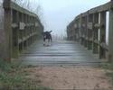Rita on Bridge