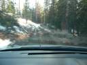 SX4 Cruising Through the Woods SX4 Cruising Through the Woods