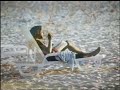 Propague - Beiramar Poesia