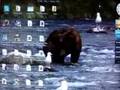 Windows-Vista-Dreams