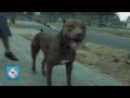 Trailer teledysku Kaczor feat. Sheller - "Rap, Pasja, Bit"