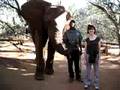 Atomic friend kissed by an elephant