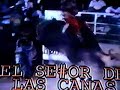 toros famosos