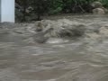 El Rio Cuale