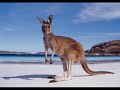 australia-my-island-home-an-excellent-country.html