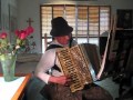 Ja Sam Sirota - Croatian folksong - vintage Hohner Regina VI
