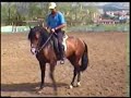 DOMA CABALLO 1