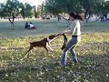 ORKAN (APBT) paseo familiar 20/05/2007 [02]