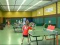 Tischtennistraining für TOPSPIN und bessere Platzierung