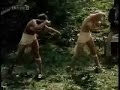 smack my apache up