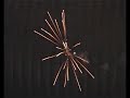 phonosynthese-glitzerblume phonosynthese-glitzerblume