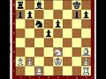 Tarrasch #111