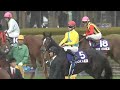 2009.11.29 ジャパンカップ(ＧⅠ) ウオッカ CS