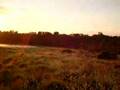Shoreham Campsite