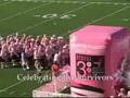 2008-Breast-Cancer-3