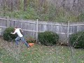 pumpkin.pulverizing.wmv