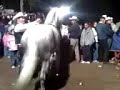 caballo moro-como me duele caballo moro-como me duele