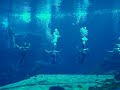 Weeki Wachee Mermaid Song