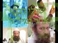 שולי רנד   מוחין דקטנות