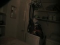 paloma getting scared