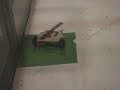 Battle Beach 4 Insects Greatest Hits