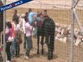 Nardò, la fiera del bestiame torna dopo quarant'anni Nardò, la fiera del bestiame torna dopo quarant'anni