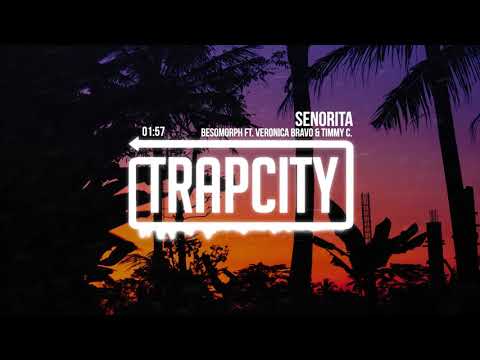 Shawn Mendes, Camila Cabello - Señorita (Besomorph ft. Veronica Bravo & Timmy Commerford Remix)