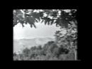 Nooshafarin  -   Leile Va Majnoon