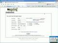 Eliminate SEO in 5 Minutes