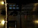 bachata-special-dance.html
