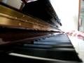 Canzonetta op.183 4/2 - Reinecke