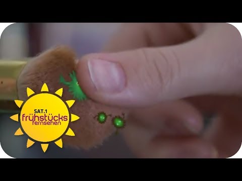 SCHOCK: So ekelhaft sind unsere Schminkpinsel und Schwä ...