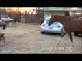 videos de Zeus 4: Getting it All Together