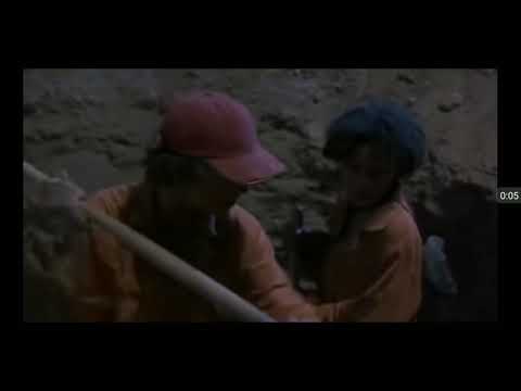 Holes the treasure