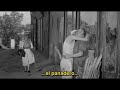 Arianne - Love in the Afternoon