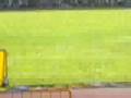 Aire & Airul Race