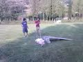 finax vola su mirko...