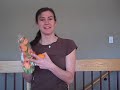 VID00029.MP4
