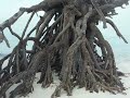 isole andamane