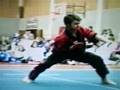 kung fu huggy
