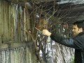 Capw Town - World of Birds
