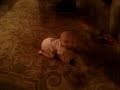 lolo crawling