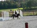 videos de 2006 Siggesta Bobbo div 2