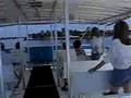 On boat tour in Naples, FL