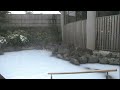 花より男子2 露天風呂シーン - 井上真央 戸田恵梨香