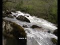 Rio Saja - Tramo antes de Saja
