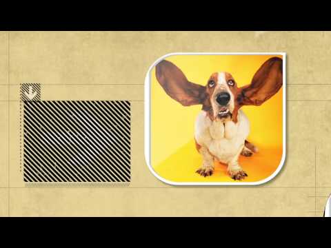 how to control eyebrow muscles